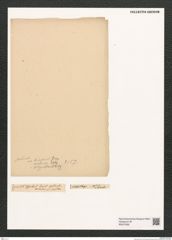 Diatomeae indet. Zeichnungen Sammlung Grunow (NHMW-BOT-W0375392)